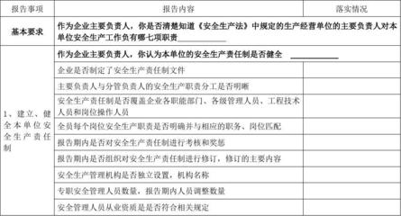 化工生产企业主要负责人安全生产履职情况报告表